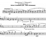 Schumann notes